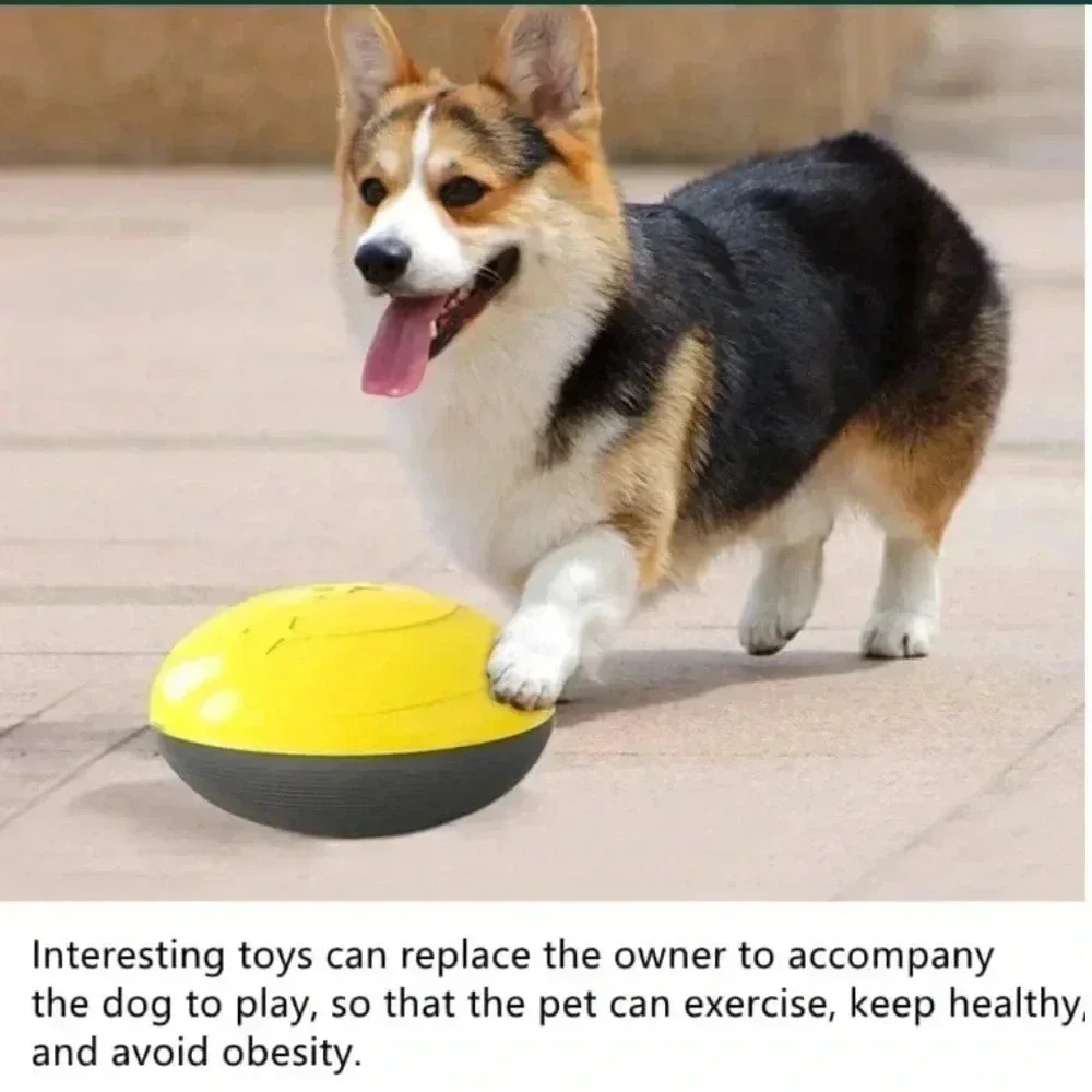 Interactive Sounding Educational Dog for Snack Distribution (yellow)‎